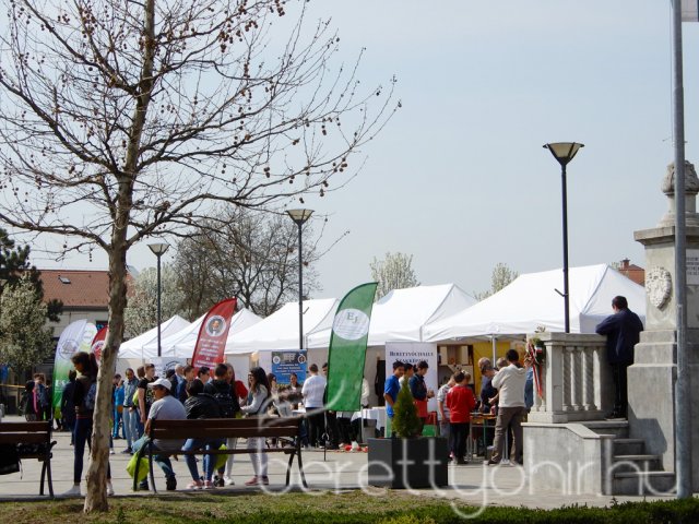 Szakmavilág roadshow Berettyóújfaluban 04